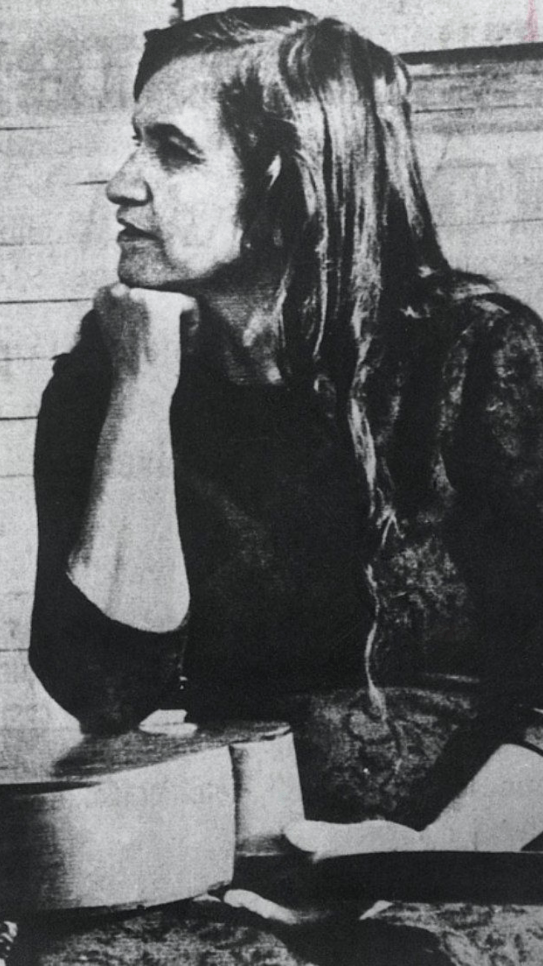 Violeta se fue a los cielos