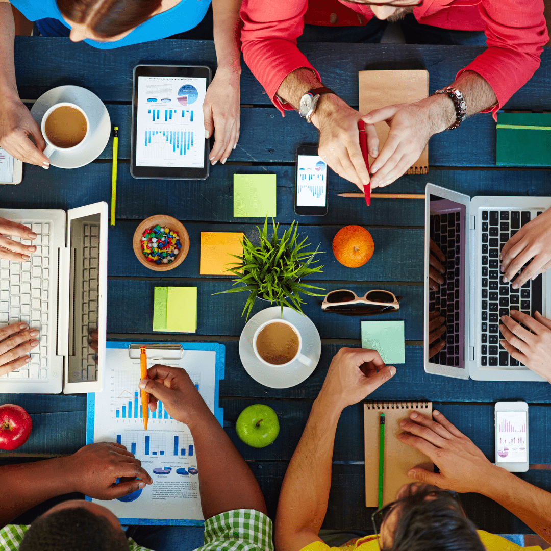 Organización El Jotearte Vicuña